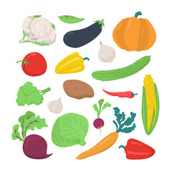 Vegetables set. Vector illustration. Menu. Vegetarian