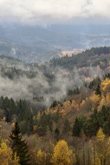 Fototapeta premium Autumn view of forests and countryside in the countryside.