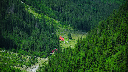 Sambata cabin seen from above between the forested mountain sides of Fagaras Mountains. The cabin is located in a green alpine pasture, Carpathia, Romania.