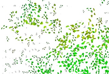 Light Green, Yellow vector texture with random forms.