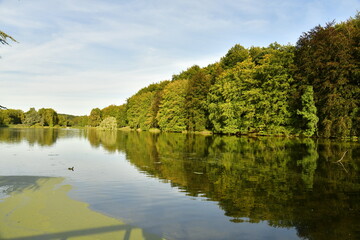 Fototapeta na wymiar Reflet magique de la nature luxuriante en début d'automne autour d'un des étang du parc de Tervuren à l'est de Bruxelles