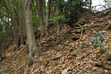 小倉城跡　郭3の石垣（埼玉県ときがわ町）