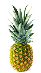 Fototapeta premium Ripe pineapple with leaves on a white background