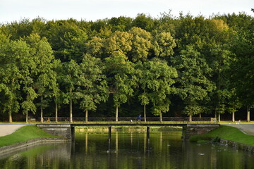 Fototapeta premium Couleur du début de l'automne au bois derrière le pont en fonte au parc de Tervuren à l'est de Bruxelles