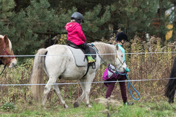 Nauka jazdy konnej, jazda na koniu w lesie, dzieci uczą się postępowania z koniem, stadnina koni - obrazy, fototapety, plakaty