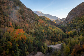 Autumn yellow Tree valley with Mount Perdido in background, in Aragon, Spain