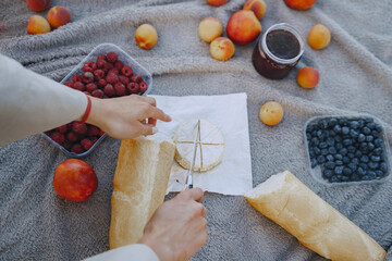 Delicious healthy summer picnic on the grass. Fruits on a blancet.