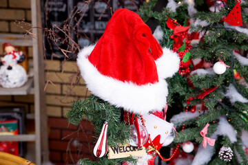 Obraz na płótnie Canvas Santa hat is put on the Christmas tree. The concept of Christmas, New year. Creative idea of Christmas.