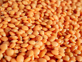 Red Lentils as background. Masoor Dal texture. Soft focus. Colorful and stylish composition. Vegetarian super food. Healthy eating and dietary. Macro view of Canadian Orange Lentil