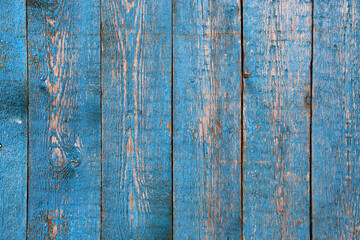 Fototapeta na wymiar Shabby weathered wooden wall painted of bright blue paint
