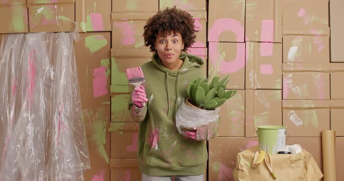 Handy woman says wow looks with wonder at camera holds paint brush and potted cactus wears sweatshirt poses in mess room reconstructs apartment. Afro American female decorator refurbishes something