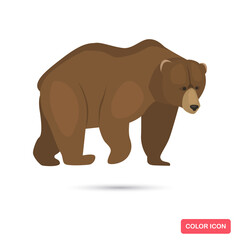 Brown bear animal color flat icon