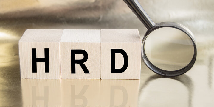 The word HRD is made of wooden building blocks, Human resource Department concept
