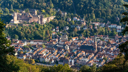 heidelberg historic old town with the castle, germany