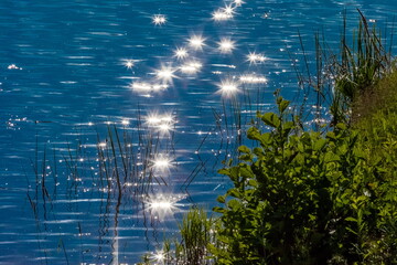 Grass on the shore of the reservoir close-up on the background of the water surface with reflections from the rays of the setting sun in summer.