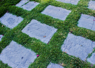 stone pavement texture