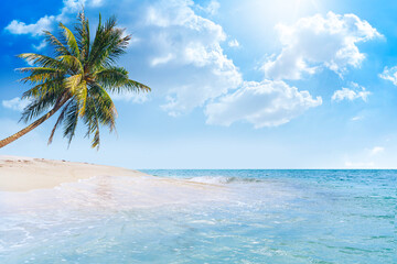 Beautiful beach view.single coconut tree on the island