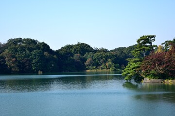 10月秋晴れ 多摩湖湖畔