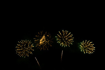 Beautiful multi color fireworks explosions lighting sky over trees silhouette and over an...