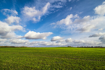Fototapeta na wymiar green field and blue sky in autumn