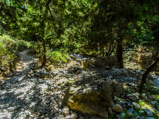 The trail meets a wooded area of the Imbros Gorge near Chania, Crete on a bright sunny day