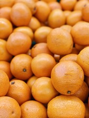 set of oranges. fresh oranges harvest