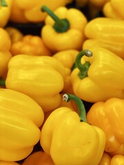 yellow peppers harvest close up