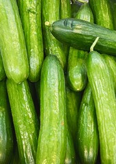 set of fresh green cucumbers for food patterns
