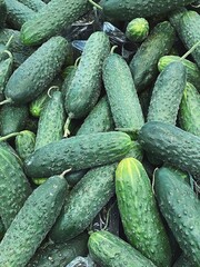 set of fresh green cucumbers for food patterns
