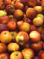 set of apples. fresh apples harvest for food patterns 