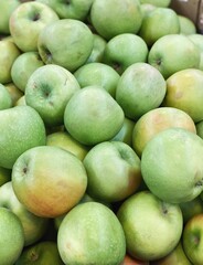 set of apples. fresh apples harvest for food patterns 