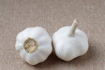 Organic garlic on wooden background