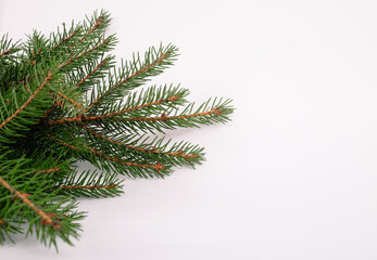 Blank business card with fir christmas tree branches. New year celebration concept banner. Gift certificate. Side view. Minimalist mockup. Invitation to an event or party. Advertising information