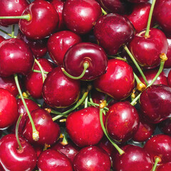 Ripe cherries background