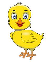 Küken, Illustration