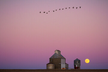 Sunset next to farm in Nebraska