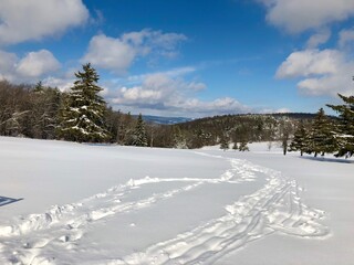Beautiful scenic view in golf course on hill, after fresh snow storm.  Winter scene in upstate New York 