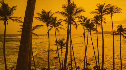 Tropikalne tło żółto brązowe palmy i ocean, kolorowa grafika.