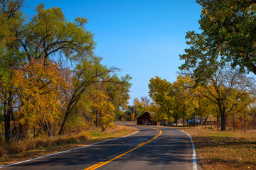 road in autumn