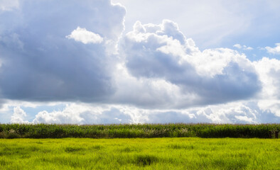 Wonderful cloudy landscape in the countryside with massive clouds and blue sky.