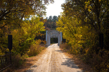 country road in autumn
