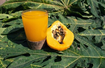 Papaya Juice and Pawpaw Fruit Slice with Leaf on Wooden Background