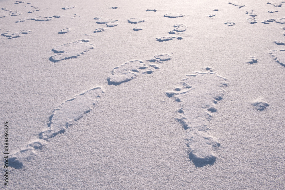 Poster white fine ice and snow surface texture background texture, winter background