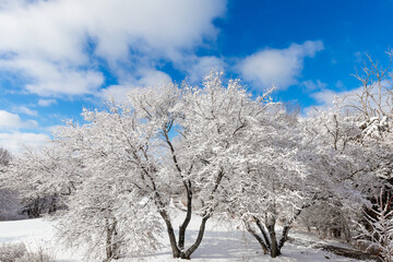 Snowy winter landscape in nebraska