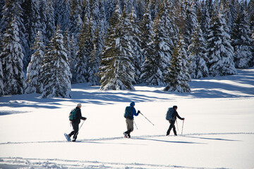 Ciaspolata e camminata con le racchette da neve in montagna con persone in trentino passo coe