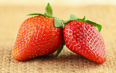 Fresh strawberries on the sack
