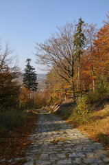 Wałbrzych Mountains, Poland