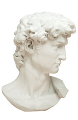 3D rendering illustration of Head of Michelangelo's David isolated on white background. Profile view.