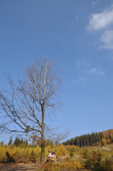Wałbrzych Mountains, Poland