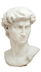 3D rendering illustration of Head of Michelangelo's David isolated on white background. Back view.